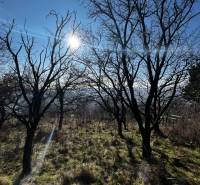 SLNEČNÝ REKREAČNÝ POZEMOK 1539 M2 S NÁDHERNÝM VÝHĽADOM - LAMAČ