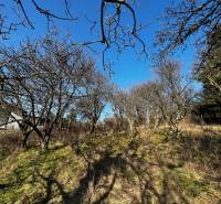 SLNEČNÝ REKREAČNÝ POZEMOK 1539 M2 S NÁDHERNÝM VÝHĽADOM - LAMAČ