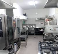 Prievidza Gastro priestory predaj reality Prievidza