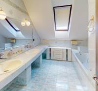 2-generacny-dom-na-predaj-v-oblubenej-lokalite-Malaciek-Podpivniceny-s-garazou-bazenom-a-zahradou-Bathroom 1.jpg