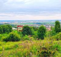 Limbach Pozemky - bývanie predaj reality Pezinok