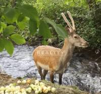 Turček Rodinný dom predaj reality Turčianske Teplice