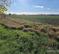 Senec Pozemky - bývanie predaj reality Senec