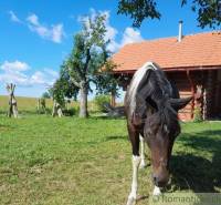 Zemiansky Vrbovok Chata predaj reality Krupina