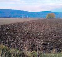 Trenčianske Bohuslavice Poľnohospodárske a lesné pozemky predaj reality Nové Mesto nad Váhom