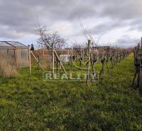 Pezinok Rodinný dom predaj reality Pezinok