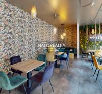 BA - Nové Mesto Gastro priestory predaj reality Bratislava - Nové Mesto