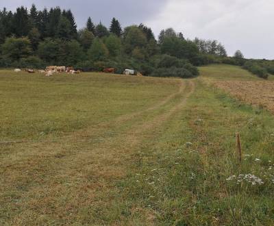 Predaj: Pozemok 5890 m2 pre rekreačný alebo farmársky zámer v Turí