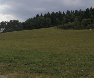 Predaj: Pozemok 5890 m2 pre rekreačný alebo farmársky zámer v Turí