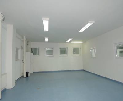 Prenájom skladovo-obchodných priestorov  550m2, Ružinov.