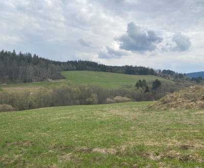 Na predaj pozemok v mestskej časti Srňacie, 7000m2