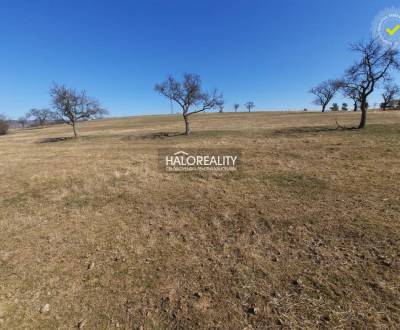 Predaj, pozemok pre rodinný dom   7000 m2 Krupina