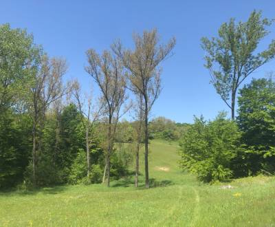 Pekný pozemok (3,2ha) na Hrušove.