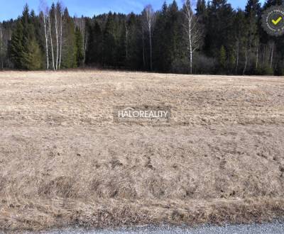 Predaj, pozemok pre rodinný dom   5802 m2 Nálepkovo,...