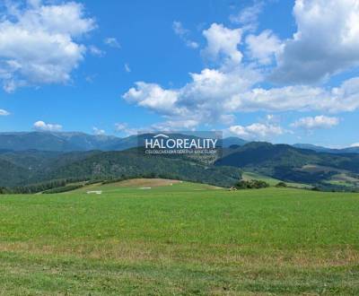 Predaj, rekreačný pozemok Valaská - ZNÍŽENÁ CENA