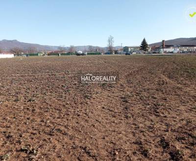 Predaj, pozemok pre rodinný dom   1500 m2 Oslany