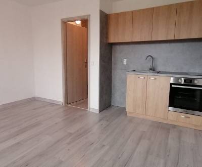 IBA U NÁS! Prenájom, garsónka 28m2, lodžia 6m2, L. Novomeského,Trenčín