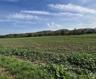 Na predaj rozsiahlý investičný pozemok v obci Visolaje- 8.173m2