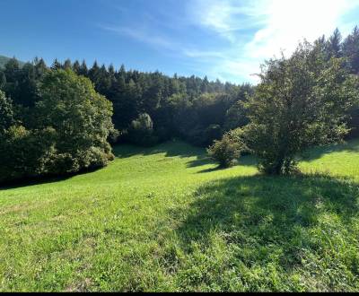 Slnečný rekreačný pozemok pod lesom- Zbora 4703m2