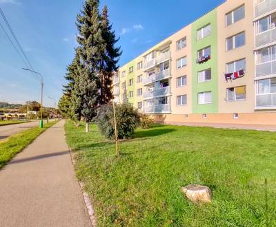 HĽADÁM: garsónka, 26 m2, čiastočná rekonštrukcia, do 60.000 €, Bytča