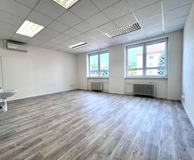 KANCELÁRSKE PRIESTORY V BIZNIS CENTRE, LETNÁ, 14 m²-214 m², SEVER