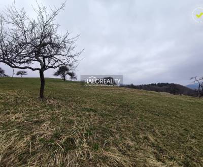 REZERVOVANÉ - Predaj, rekreačný pozemok Nová Baňa - ...