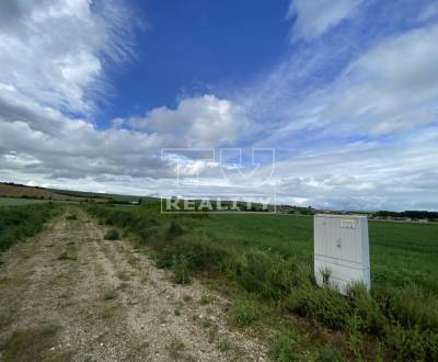 Na predaj pozemok Partizánske 10 000 m2 určený na priemyselnú výrobu.