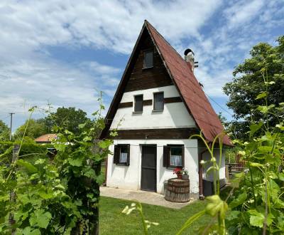 NA PREDAJ RODINNÉ VINÁRSTVO S KOMPLETNÝM ZARIADENÍM A VINICOU 