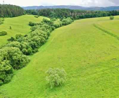 Predaj Rekreačného Pozemku 5320 m2 v Obci Peklina