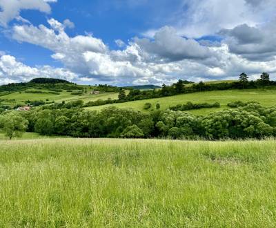 Predaj Rekreačného Pozemku 5320 m2 v Obci Peklina