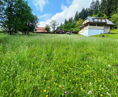 Exkluzívne na predaj rekreačný pozemok 982 m2, Staškov pri Čadci