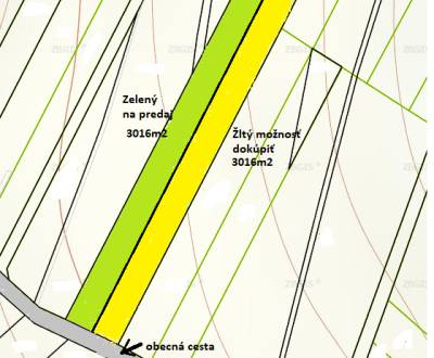 Predaj: Pozemok TTP 3016m2 v extraviláne obce Dolný Vadičov 