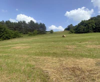 Veľký rekreačný pozemok s chatkou, Streženice (Púchov), 2400 m2