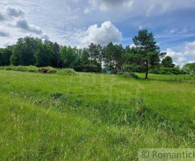 Lesný pozemok 37 000 m2 - 3,7 ha v obci Borský Mikuláš, 60 km od BA na