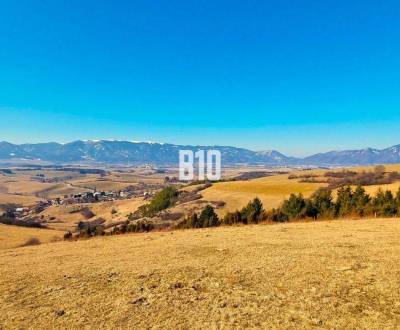 Pozemok 16921 m2, Okres: Martin, Katastrálne územie: Turčianske Jaseno