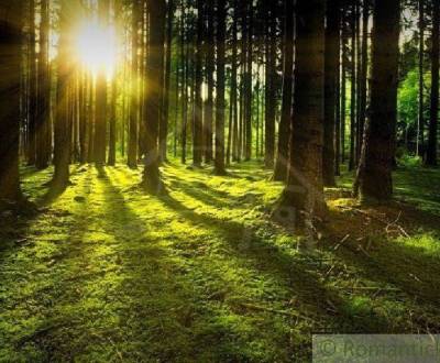 NOVÁ CENA - EXKLUZÍVNE ! 11 hektárov lesa v extraviláne obce Širákov