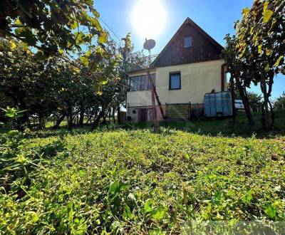Viničný domček s vinohradom nad malebnou dedinkou Michal nad Žitavou