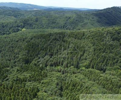 Na predaj les - lesný pozemok 6,75 ha - Osadné
