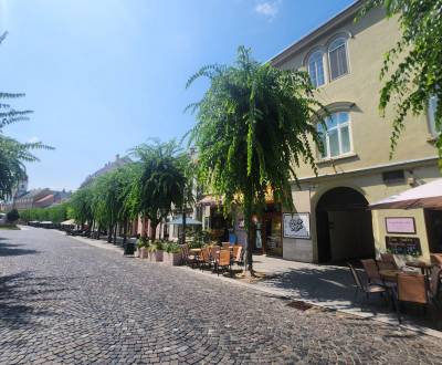 Mezonetový byt na Mierovom námestí pod hradom, Trenčín