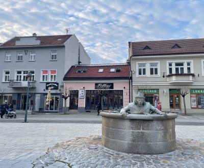 Obchodný priesor - reštaurácia na prenájom, 187m2, Trenčín