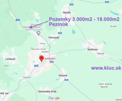 Lúka, záhrady od 3.000m2 – 18.000m2  s dobrým prístupom. Pezinok