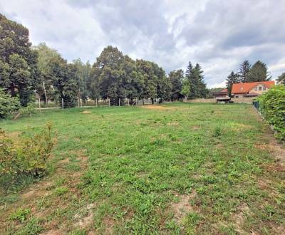 Predaj stavebných pozemkov v obci Horné Saliby - Hrušov v r.520m2