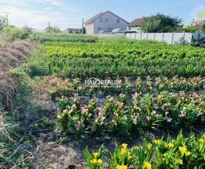 Predaj, pozemok pre rodinný dom   500 m2 Tureň