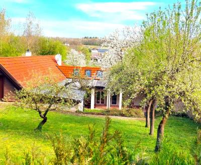 Rodinný dom s garážou a krásnou záhradou, Potzneusiedl