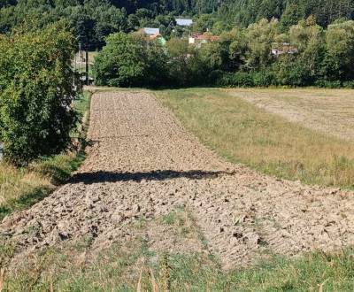 AstonReal ponúka na predaj pozemky (orná pôda) v Šurabovej