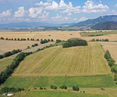 Ponúkame na predaj poľnohospodársky pozemok 141097 m2 v Mošovciach