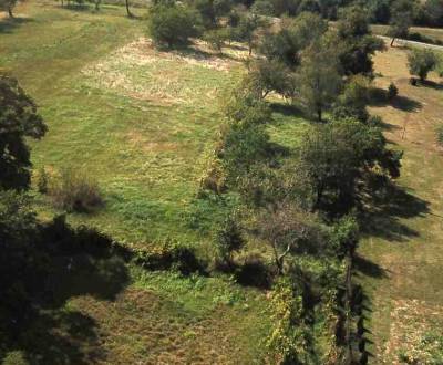 Výrazne znížená cena pozemku (4000m2) v obci Malý Krtíš.