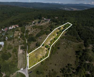 POZEMOK NA PREDAJ - 5480 m2 - SVÄTÝ JUR, OKRES PEZINOK