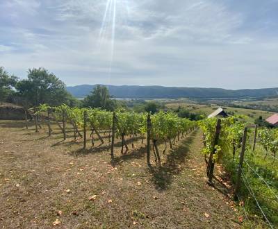 PREDAJ Nádherná vinica s chatkou, Hrušov