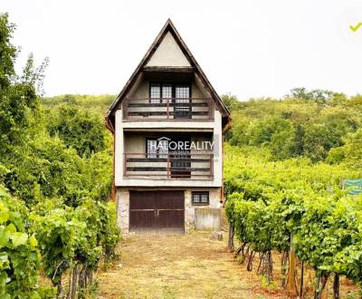 Predaj, chata Kamenný Most, viničný domček s vinicou...